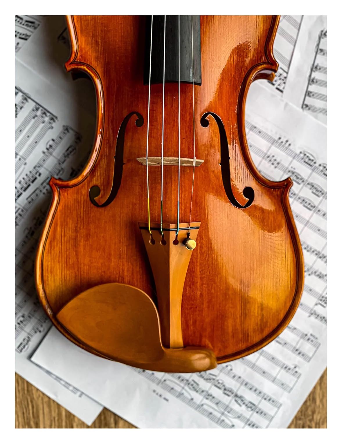 Conrad Gotz zk305 Chinrest Stradivari, de boj