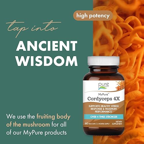 Miniatura 2 de PURE ESSENCE LABS MyPure Cordyceps 4X Champiñones - Suplementos concentrados en polvo de hongos Cordyceps para el sistema inmunológico, respuesta al