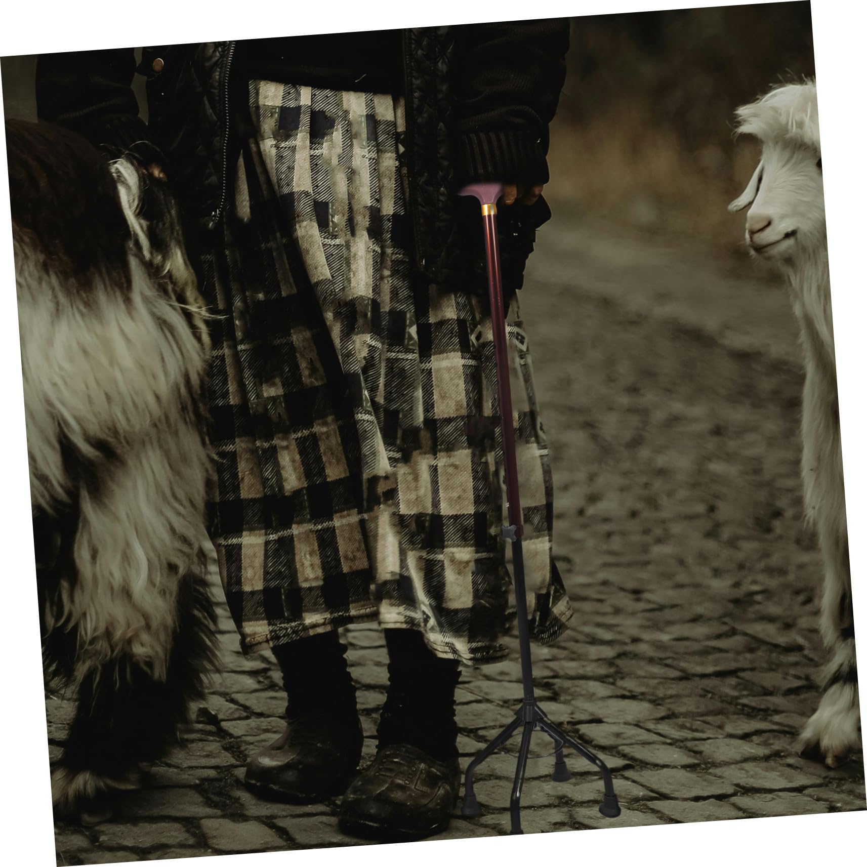 Gatuida Bastón Diseño de Cuatro Patas Ajustable de Aleación de Aluminio y Agarre Cómodo Adecuado para Trekking y Senderismo en Personas Mayores