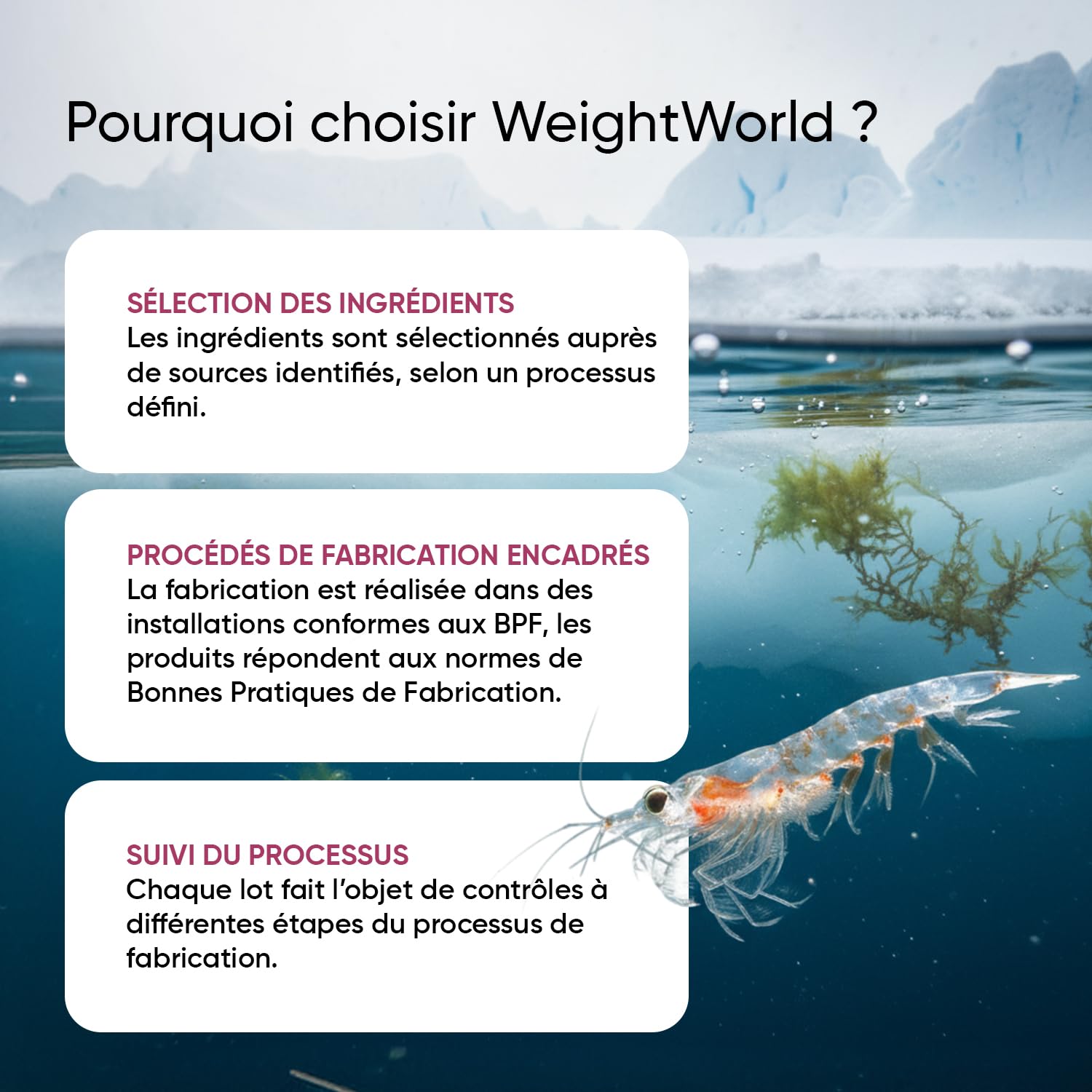 Huile de Krill d'Antarctique 1200mg Oméga 3 DHA EPA - 180 Gélules