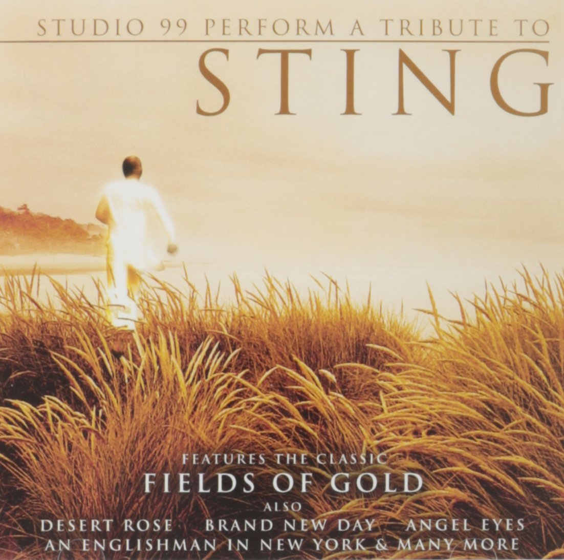 Tribute to Sting [Audio CD] Stars at Studio 99