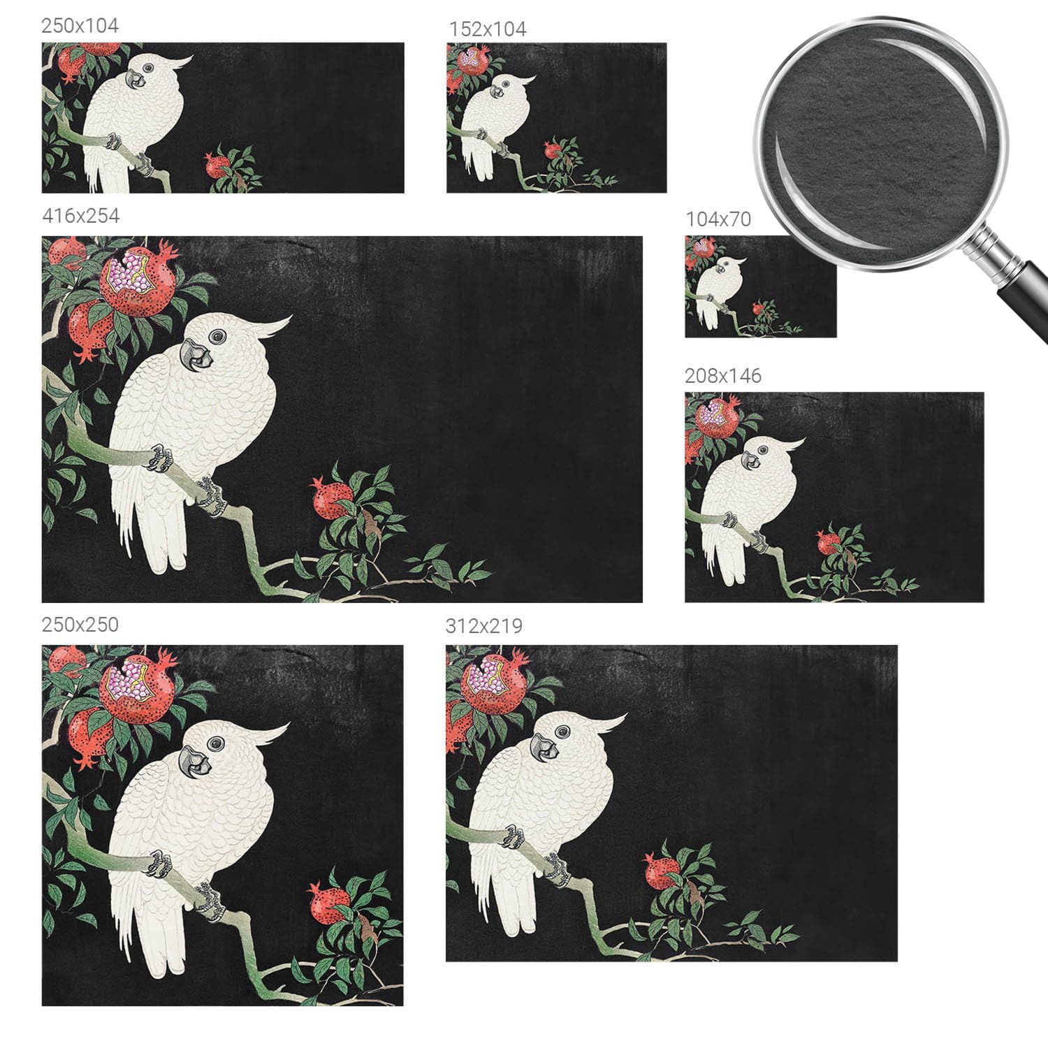 Papel Pintado Textil De Tejido No Tejido 416x254 cm Loro granado