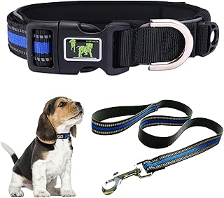 MEIBEST Reflective Dog Collar & Leash Set - Adjustable Tactical Collar for Small Medium Dogs - Ultra Comfortable Polyester Neoprene 5ft Leash D-Ring Blue/M