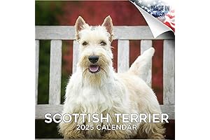 2024 2025 Scottish Terrier Calendar - Dog Breed Monthly Wall Calendar