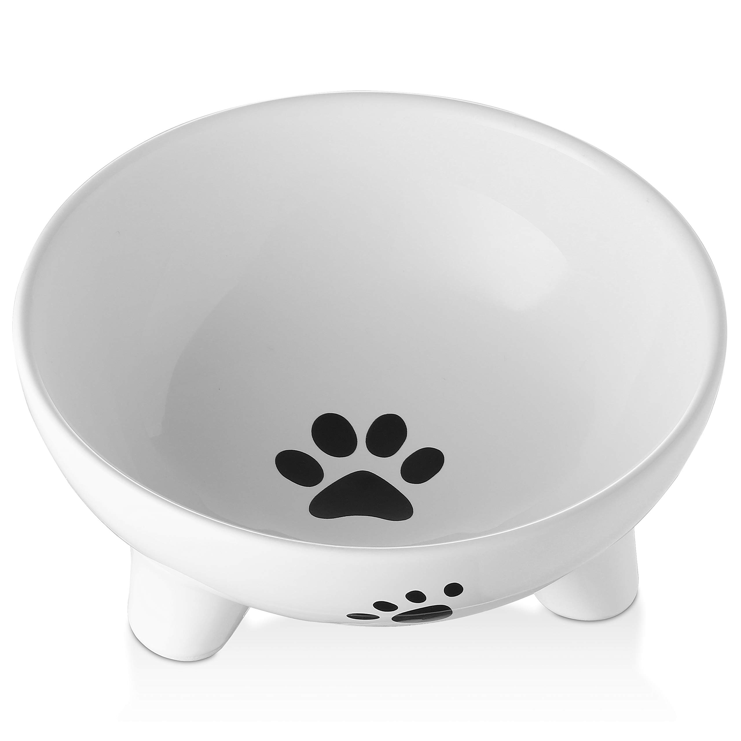 Are Elevated Dog Bowls Safe