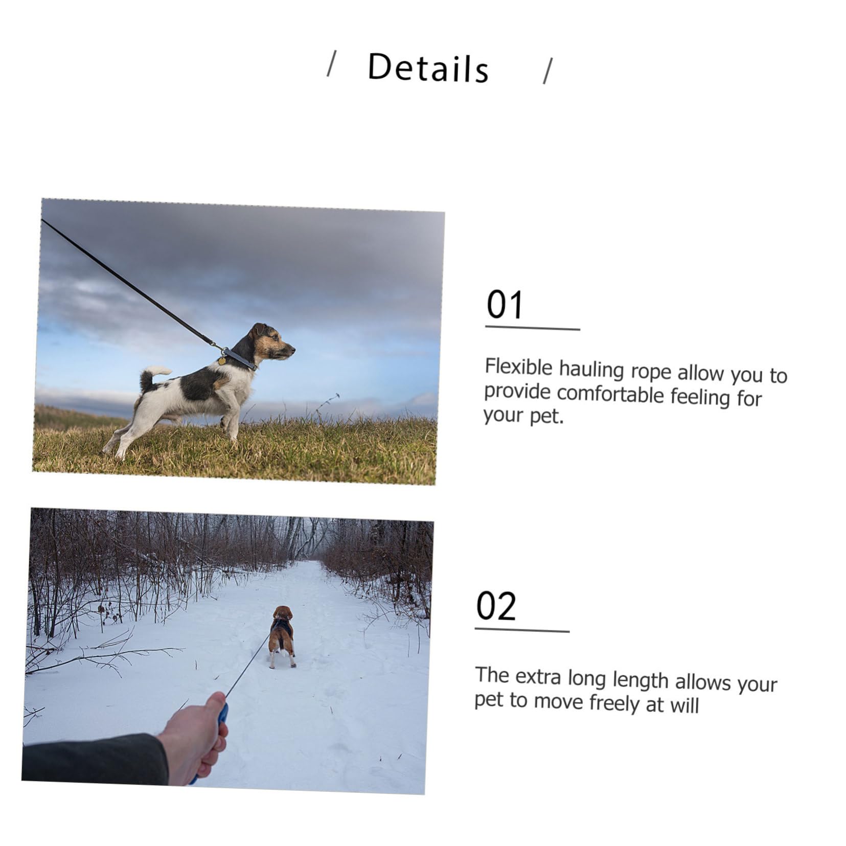 Hundeleine Halsband mit Perlen, 2 Stück, Pu Leder, Weiß | Welpen und Hunde, Flexibel und Verstellbar, Süßes Design, Leicht und Auszuziehen