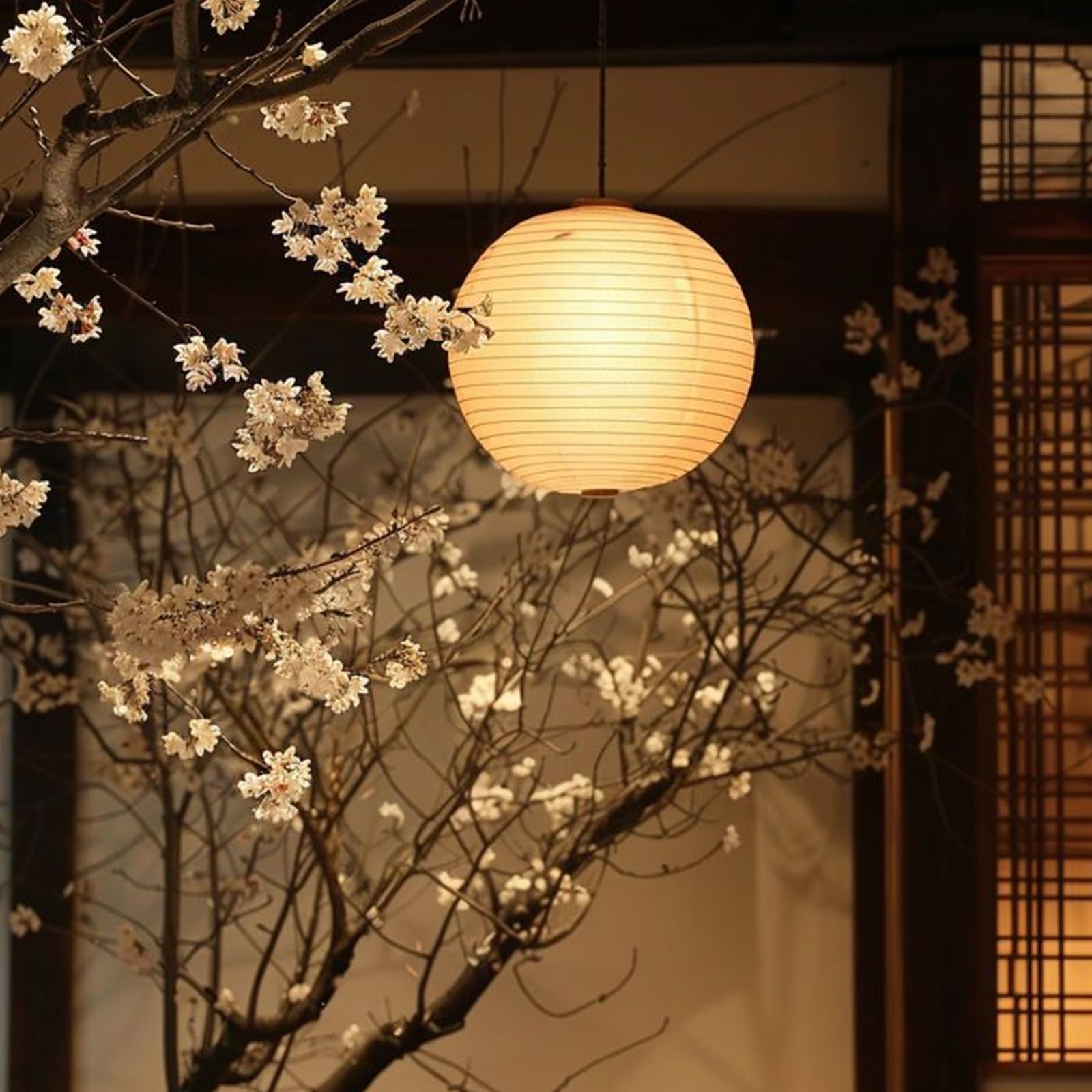 24pcs Lampion Papiers Colorés, Lanternes Papier Chinois 4" / 6" / 8