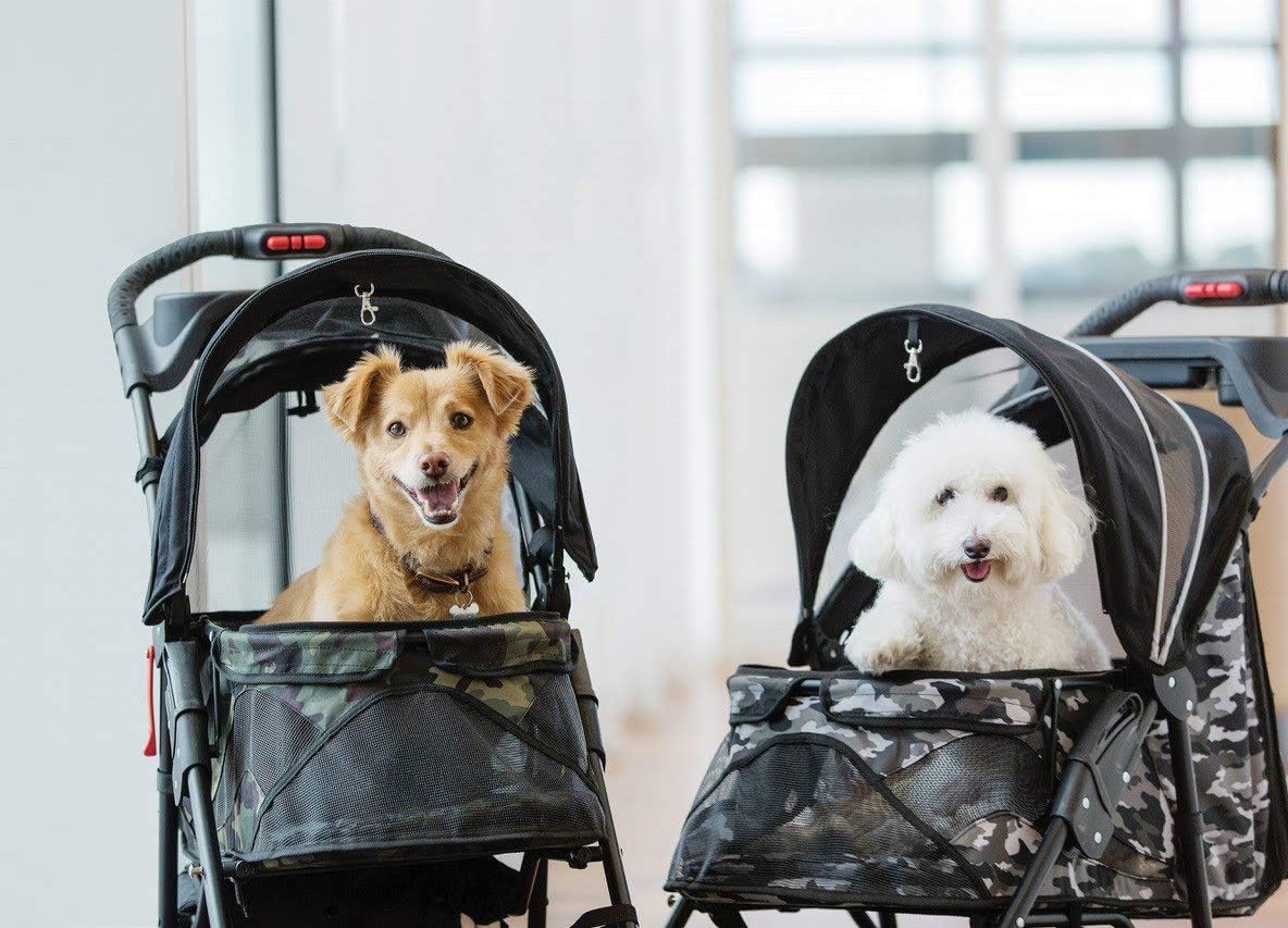 PETIQUE Pet Stroller, Black Camo, One Size, Model Number: ST01040103 : Pet Supplies