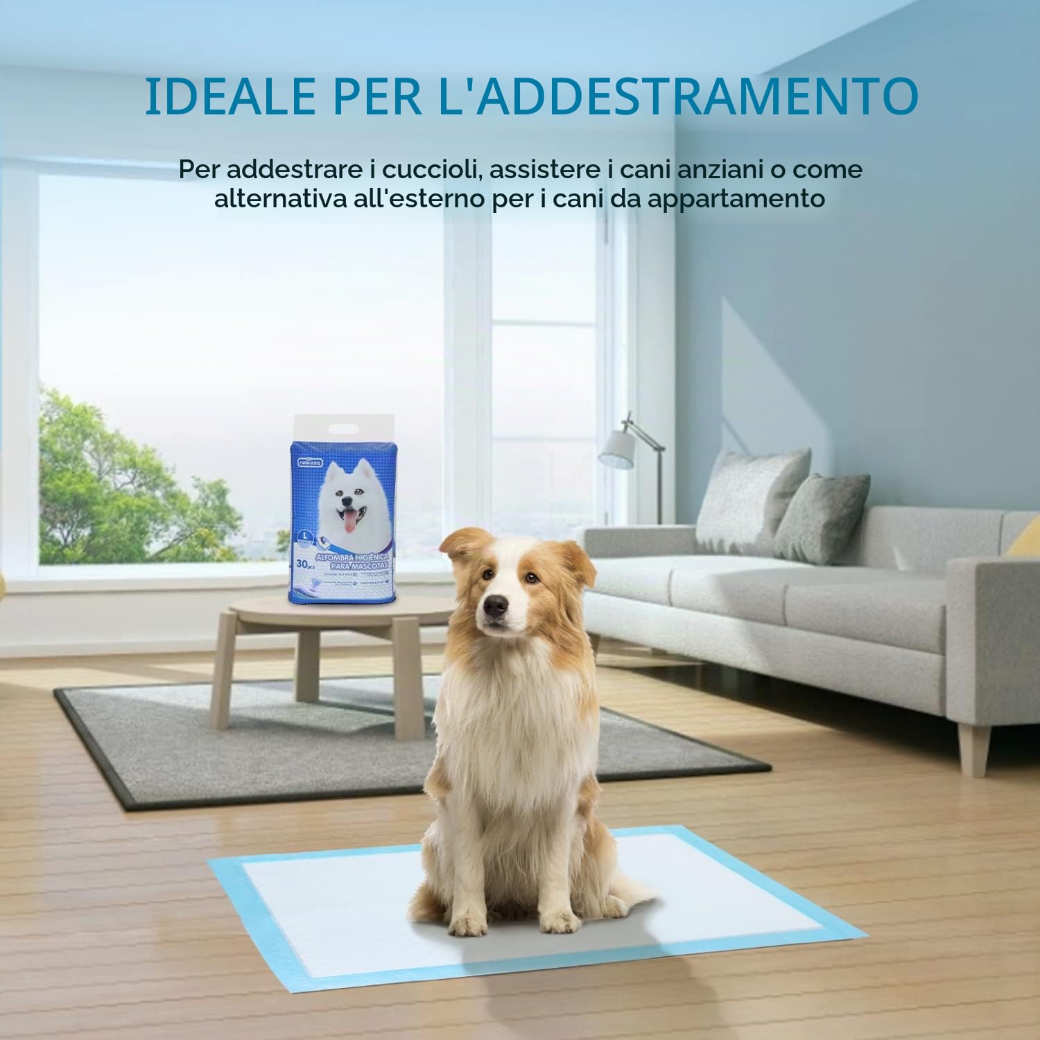 Nobleza - 90 pz Tappetini igienici per Cani, Misure 90 * 60cm, Tappetini assorbenti per Animali Domestici