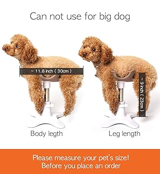 サムソンサロン サムソンサロン専用 クッション 単品 samson salon : 想いを繋ぐ