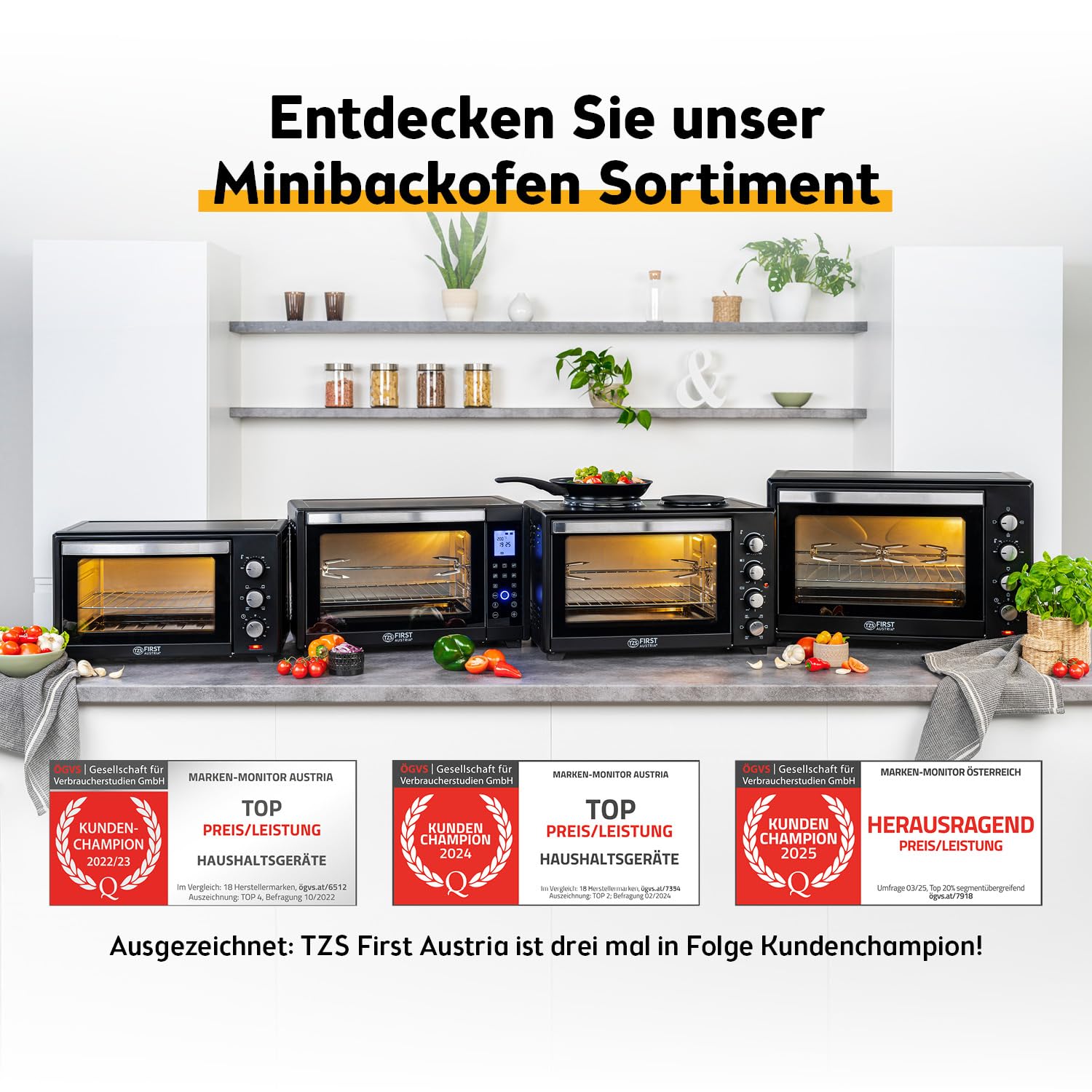 TZS First Austria - Minibackofen mit Kochplatten 30L 3200 W - Mini Backofen Pizzaofen mit Herdplatten bis 230°C & 6 Heizmodi - Miniofen Kombigerät mit 4 Einschubhöhen & hochwertigem Zubehör