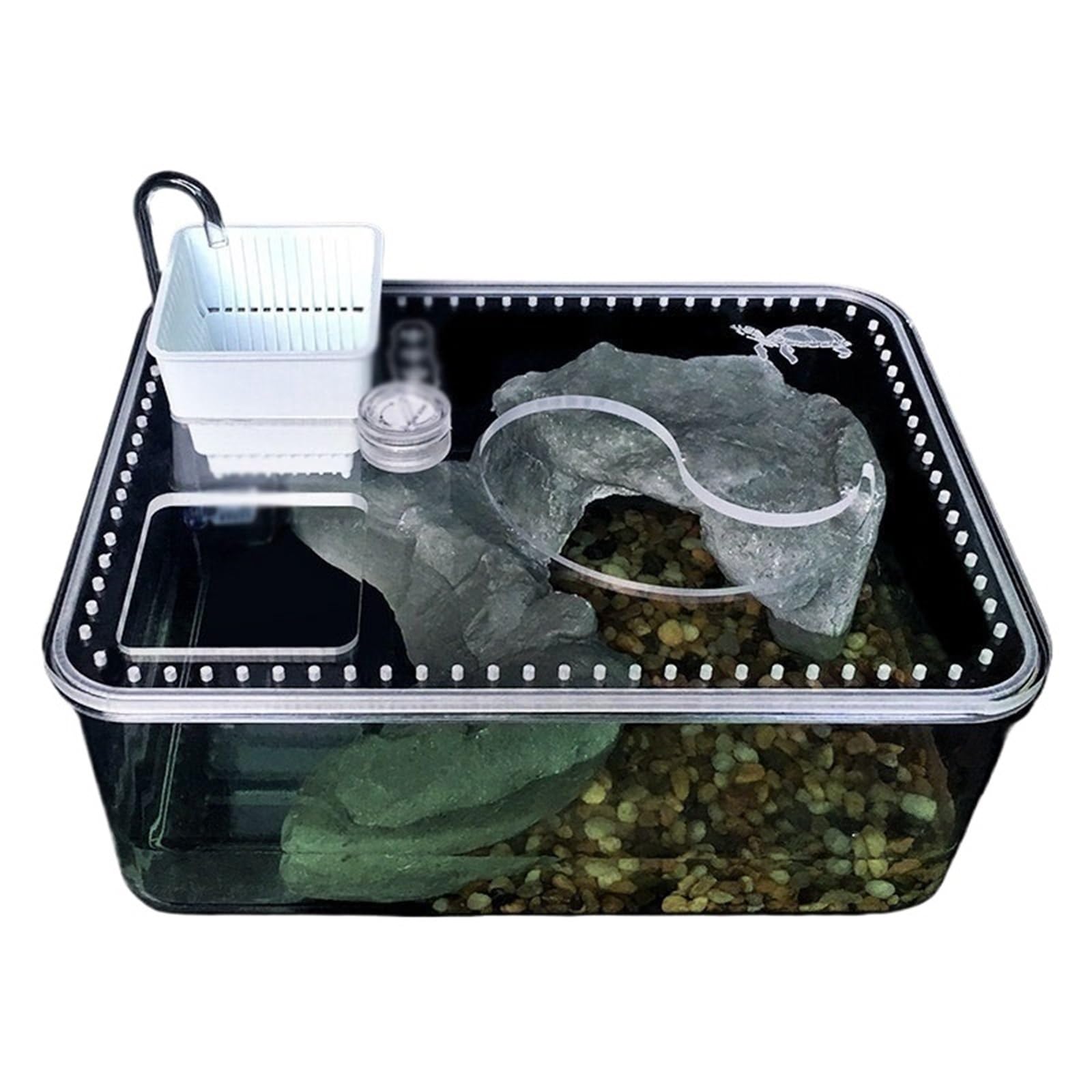 Acquario per tartarughe Acquario e terra for l'allevamento delle tartarughe con piattaforma for l'essiccazione al sole, piccolo desktop