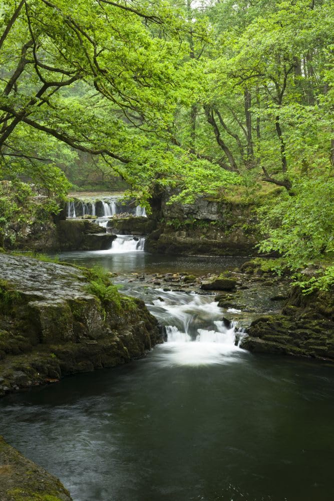 Sgwd y Bedol or Horseshoe Falls waterfalls on the Nedd Fechan in the Brecon Beacons National Park. Poster Print by Loop Images Ltd. (13 x 20)