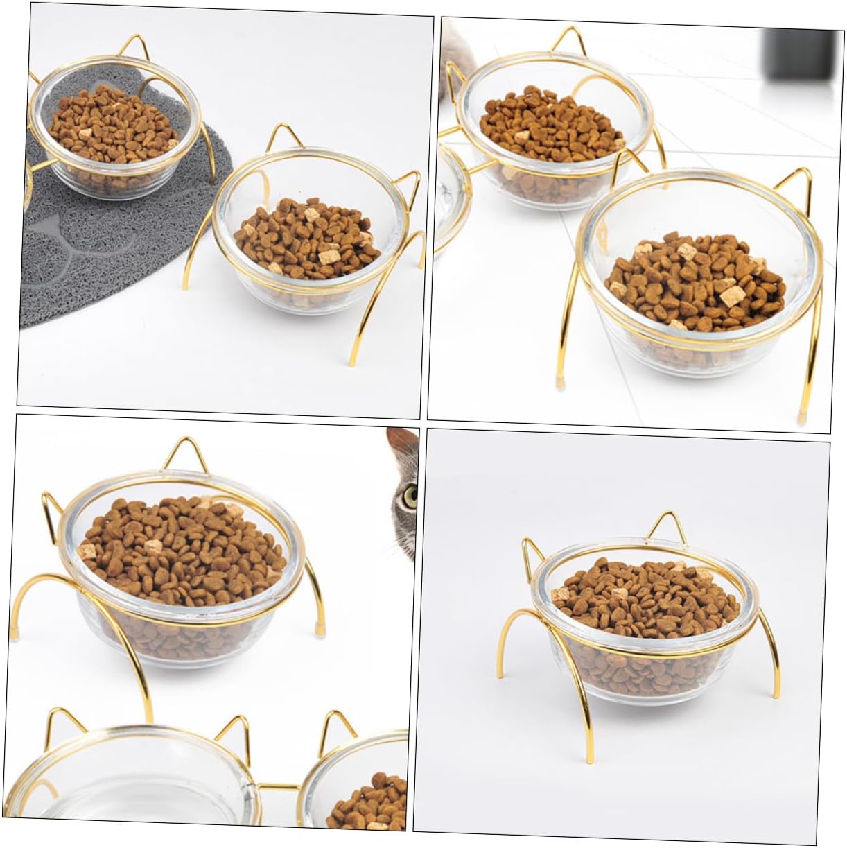 Elevated Glass Cat Bowl 15° Tilted Gold Stand – Neck-Saving Orthopedic Feeder for Indoor Cats & Small Dogs
