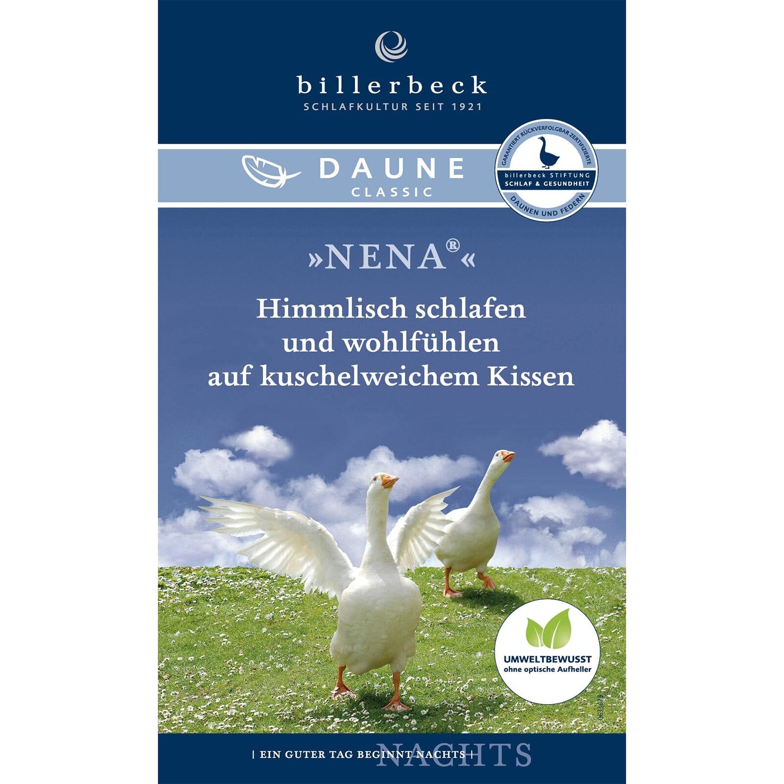 Billerbeck 3-Kammer-Kissen | Nena | 80 x 80 cm | geeignet für Hausstauballergiker | mittlere Stützkraft | waschbar bis 60° C