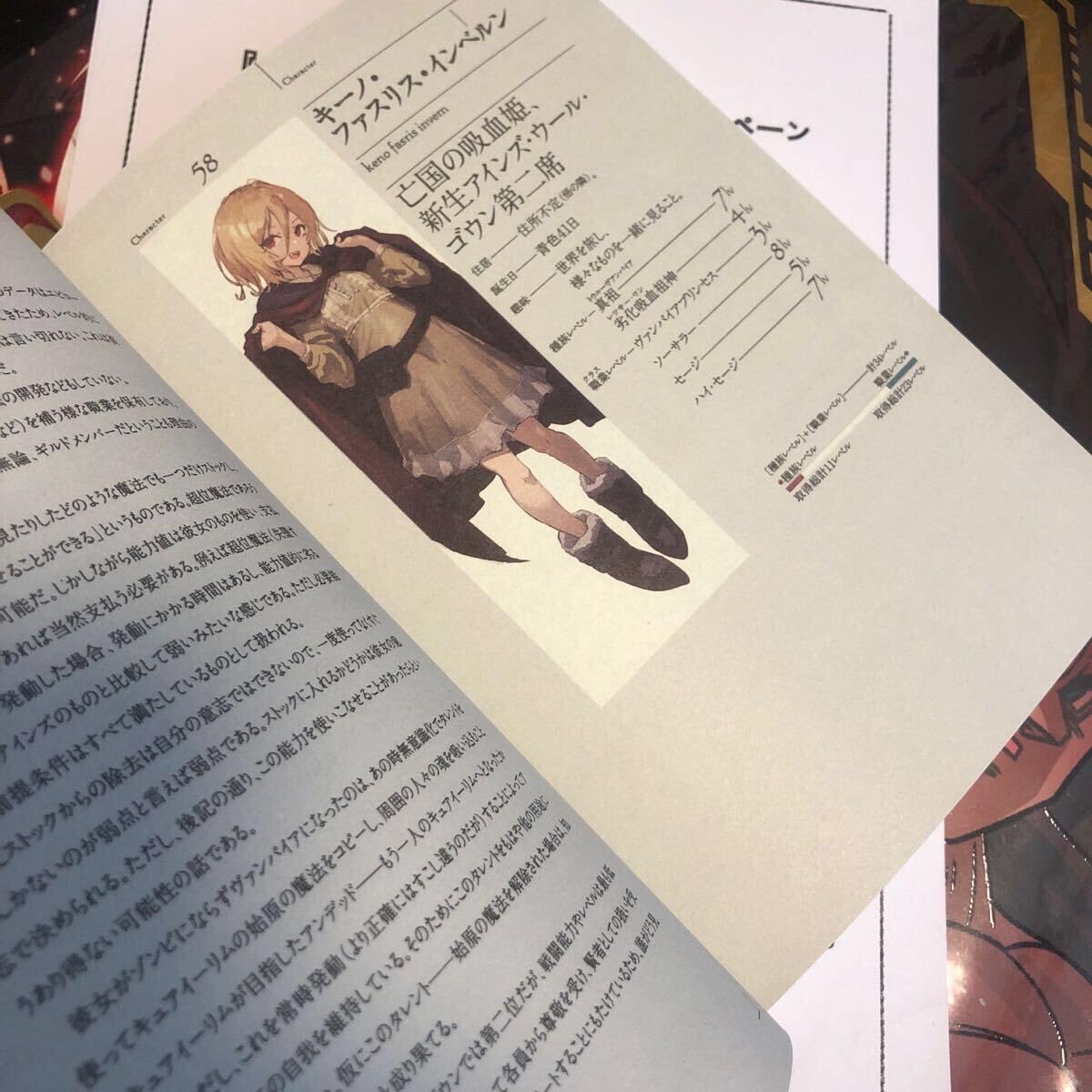 オーバーロード 亡国の吸血姫 丸山くがね おまけ付き 亡国の吸血姫 本物 オーバーロード 特典小説 帯あり 亡国の吸血鬼