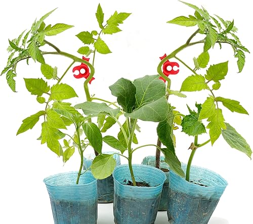 Miniatura 6 de RZJSLSHANHAI 120 clips de entrenamiento de tallos de plantas, doblador de plantas de bajo estrés, clips de entrenamiento ajustables para tallos de