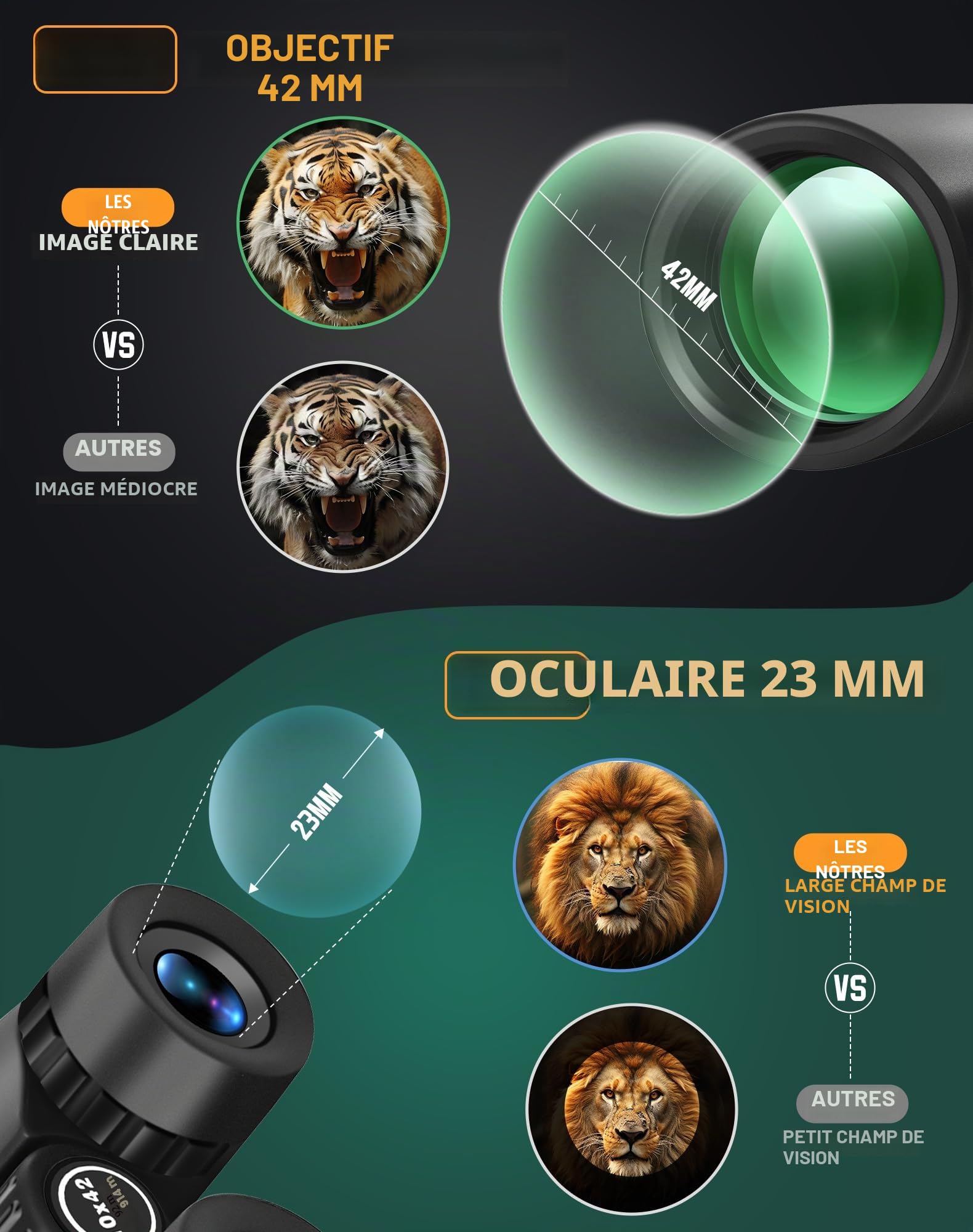BEBANG Jumelles pour Adultes Puissante 10x42 Jumelles Bak4 Prism, FMC Lentille, Imperméable pour Observation des Oiseaux Voyage Observation de Chasse Les Concerts