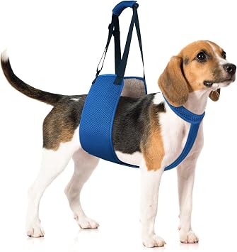 Adjustable Dog Lift Harness with Fixing Strap Dog Lift Sling for Dogs, Hind Leg Support, Soft Rehab Harness for Weak Rear Legs, Ideal for Senior, Injured, Disabled Dogs and Surgery Recovery M