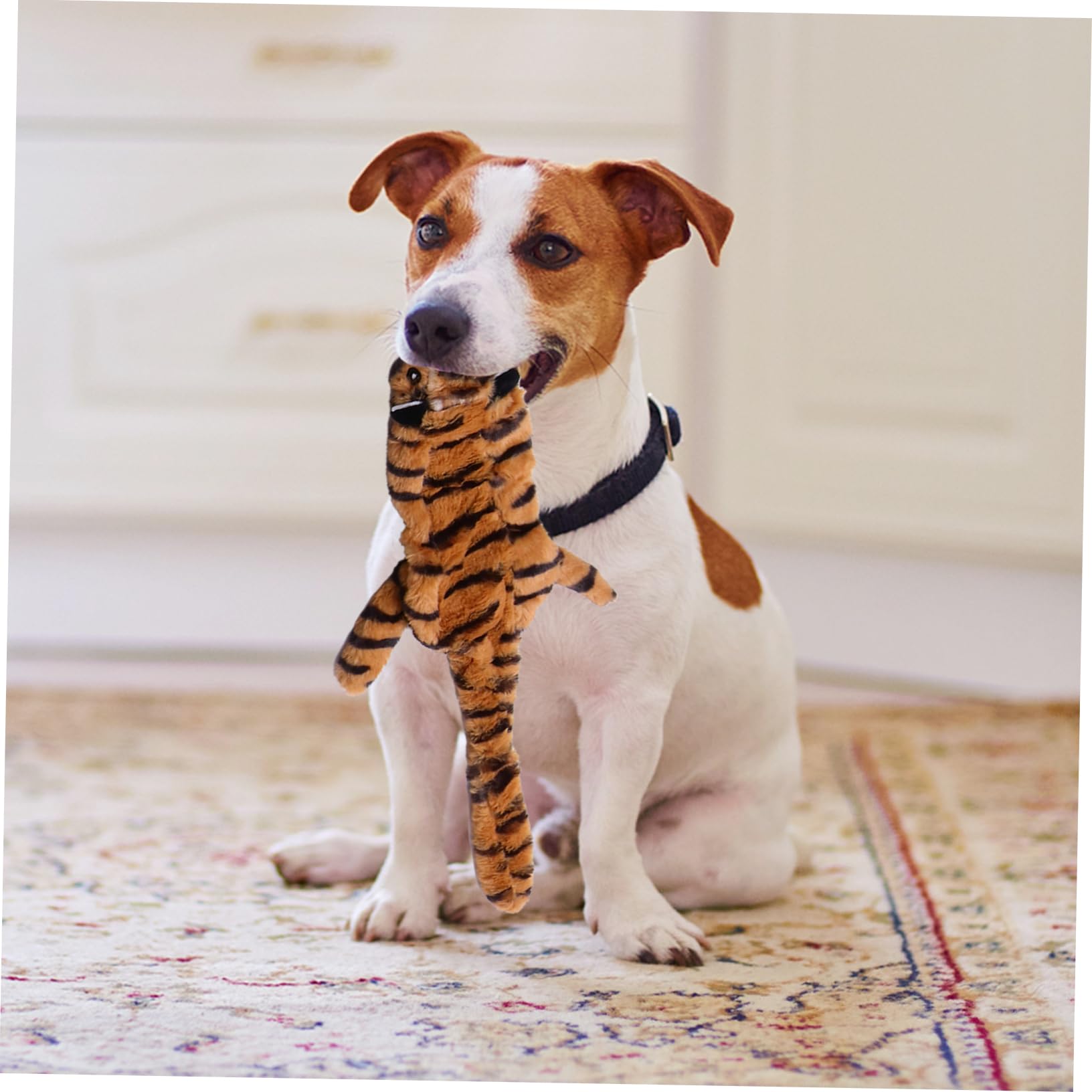 COLLBATH 6 Piezas Juguete Molar de Felpa Juguete para Mascotas Juguete para Masticar Perros Juguetes de Peluche Juguete para rechinar los de Perro Juguete de Peluche para Mascotas