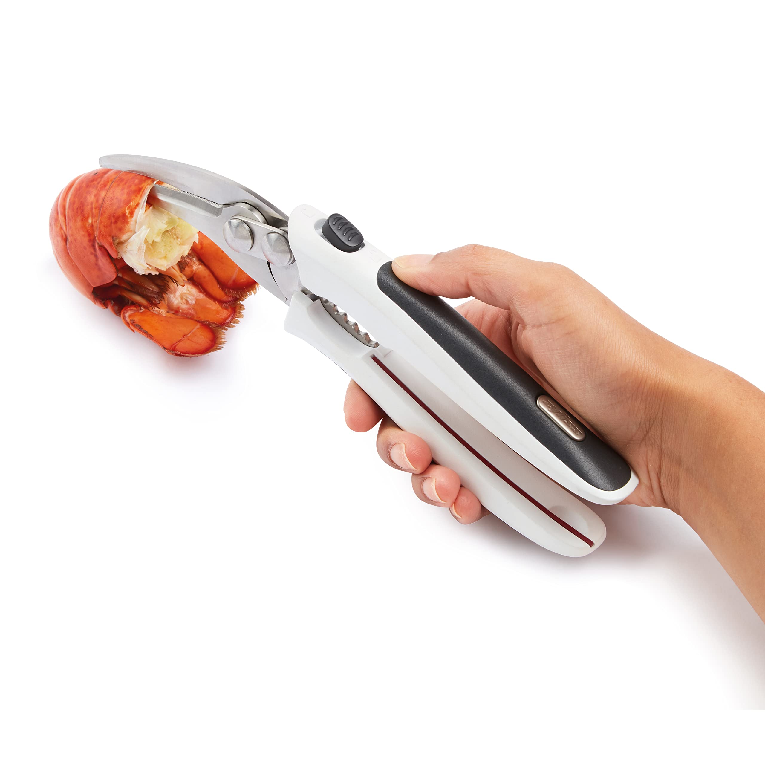 Zyliss E910039 Forbici per Crostacei, Plastica, Acciaio Inossidabile, Bianco, Grigio, Strumento per Frutti di Mare, Aragoste, Granchi e Scampi, Lavabile in Lavastoviglie