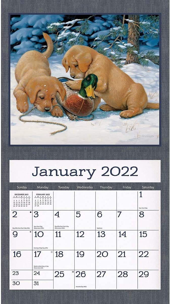 amazon com lang puppy 2022 wall calendar 22991001937 everything else