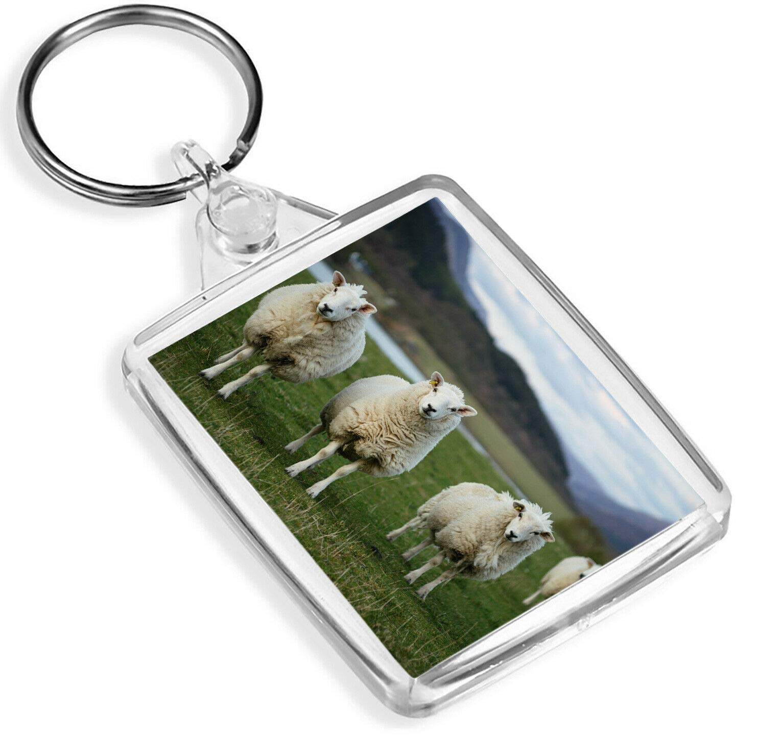 Destination Vinyl Keyrings Unisex Multi Sheep Flock Keyring Lamb Animal Farm Farmer Keyring #15771