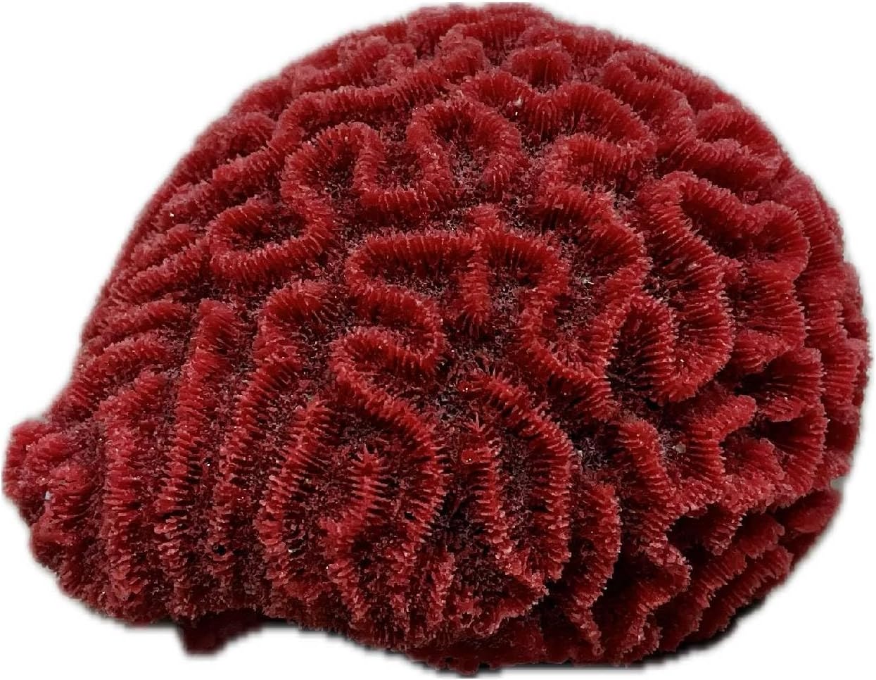 Ocean Aquaria Small Platygyra Brain Coral – Artificial Coral for Fish Tank & Aquarium Decor – #228