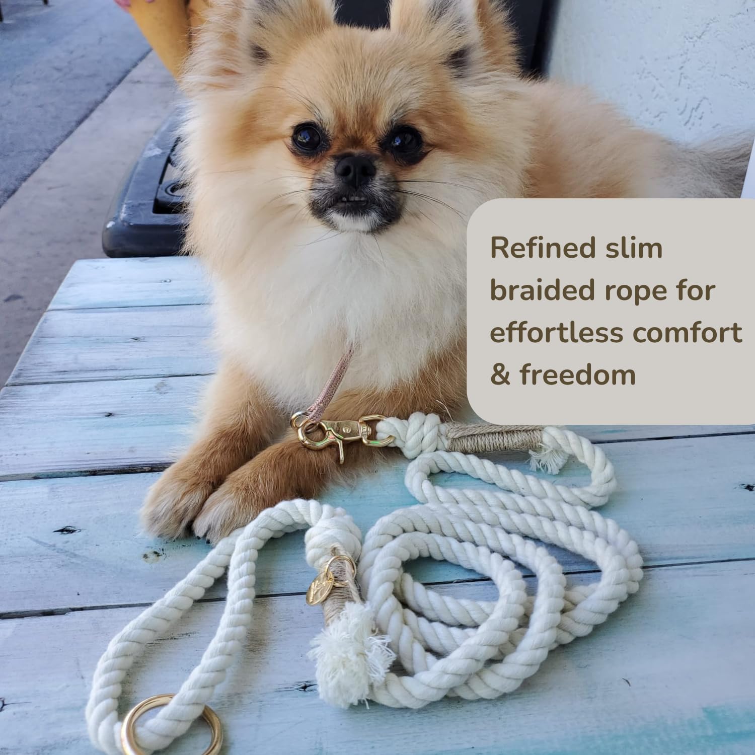 Braided Cotton Rope Leash for Small Dogs –5 ft Lightweight & Durable Leash for Tiny Dogs & Puppies – Comfortable, Stylish with 360° Swivel Clasp for Everyday Walks & Relaxed Adventures – Creamy White