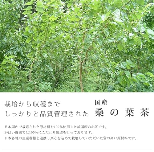 がばい農園 桑の葉茶 3g×40包