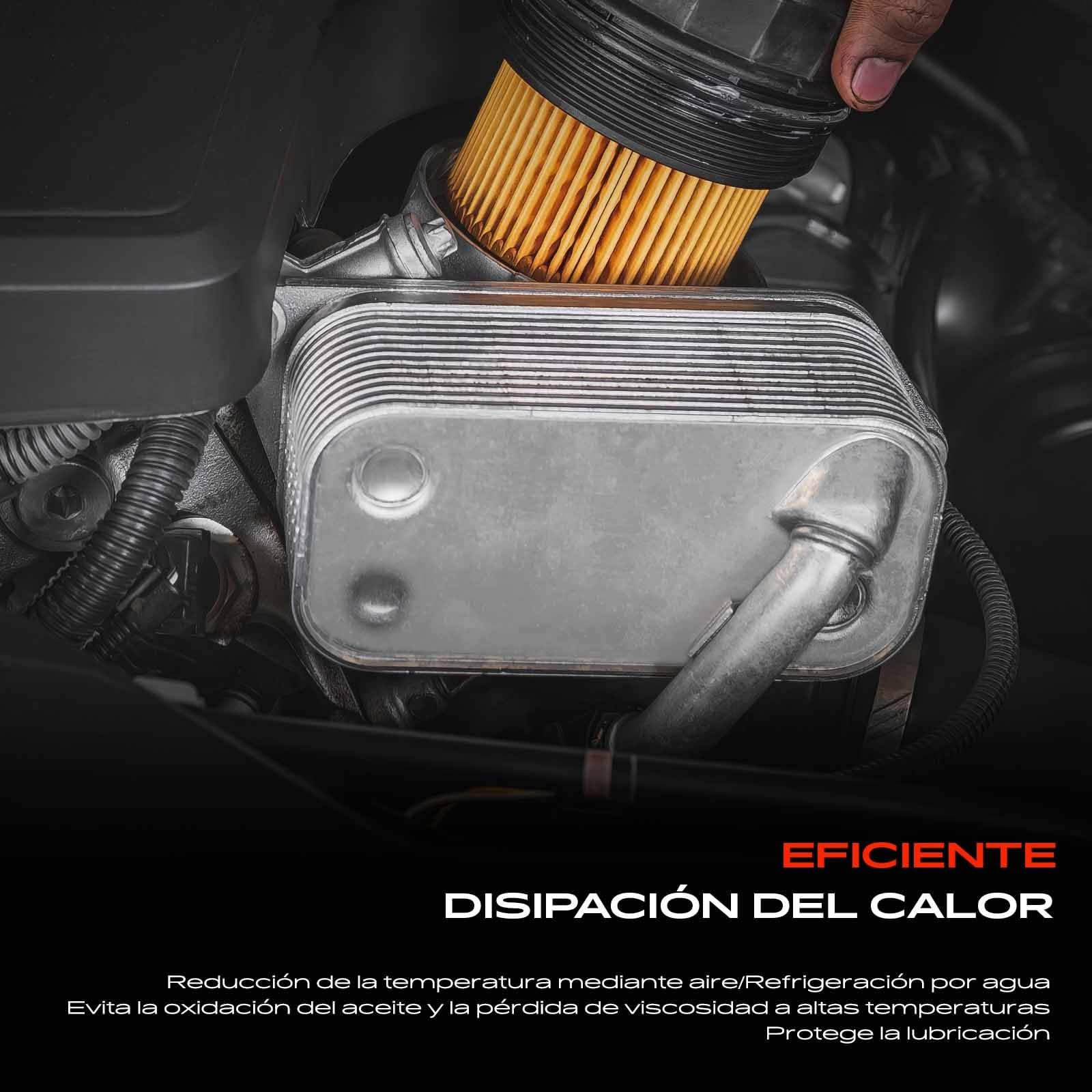 Frankberg Enfriador de aceite de motor 5989070231 | Compatible con: Astra H GTC A04, Vagón BLS, Astra H Twintop A04, 9-3 Familiar E50, Vectra C CC Z02, Caravana Astra H A04