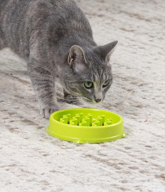 Foto 6 de 6 de Petstages Kitty Slow Feeder - Comedero para Ingesta Lenta para Gatos - Verde