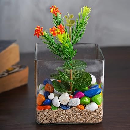 Clovefry Glass Square Votive Planter/Block Vase, candal Holder Home d cor, Centerpiece for Wedding (4 inch x 4 inch)