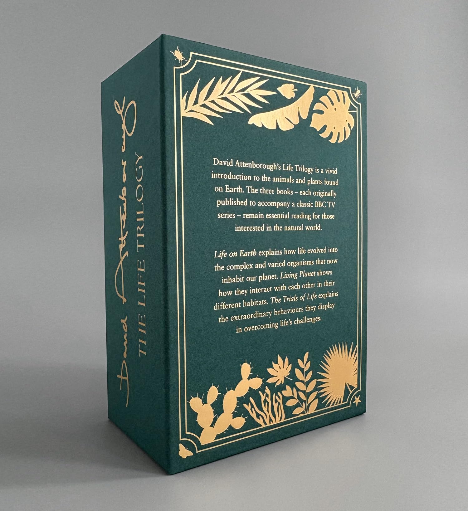 The Life Trilogy Boxset: The Greatest Story Ever Told