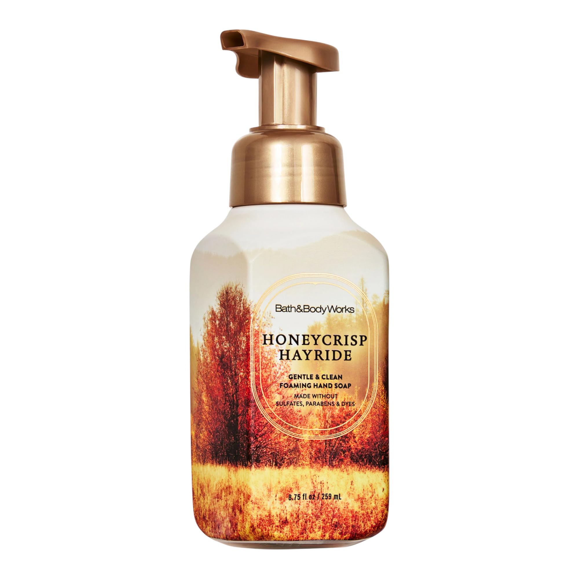 Bath & Body Works Gentle Foaming Hand Soap 8.75 oz (Milk Bar Birthday Cake): Honeycrisp Hayride