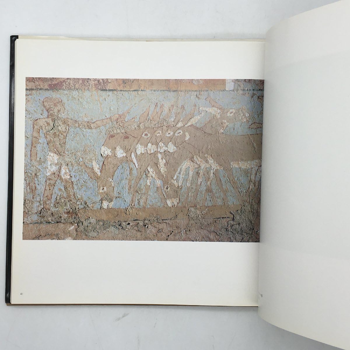 古代エジプトの壁画   /大日本絵画/薄井憲二（単行本） Amazon.co.jp: 古代エジプトの壁画 薄井憲二解説 杉山寧図版監修