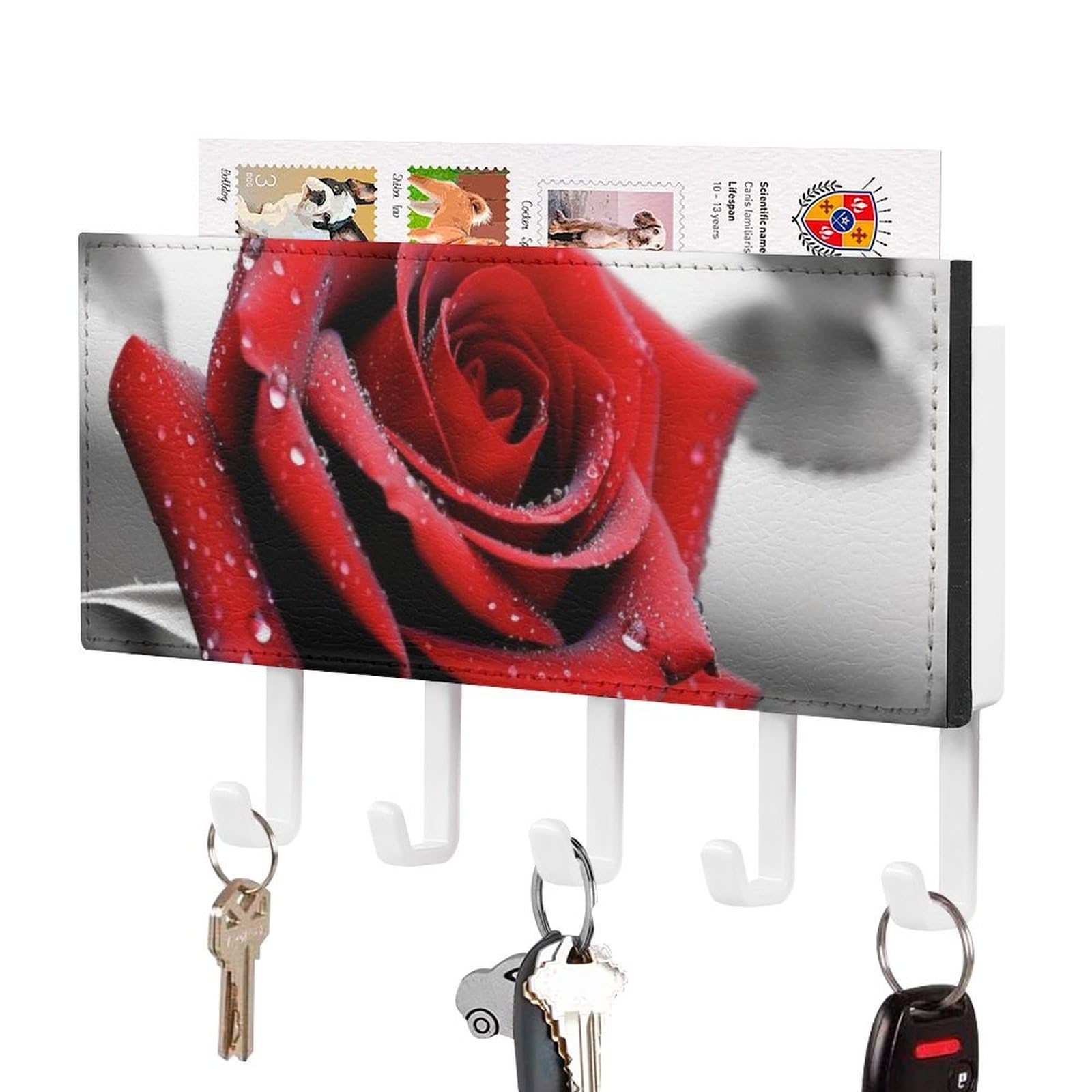 Colgador de llaves de pared para solucionar el desorden en pasillo
