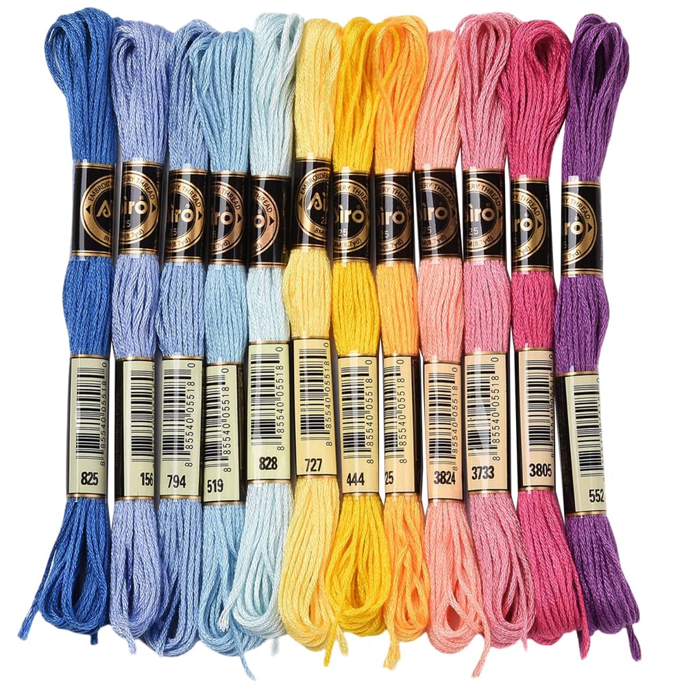 CABODYALS 12 matassa 96M Filo Da Ricamo Variegato Filo Da Ricamo Punto Croce 6 fili Colorati Braccialetto Dells'Amicizia Fili per La Creazione di Gioielli Braccialetto Maglia Cucito Artigianato Fornit