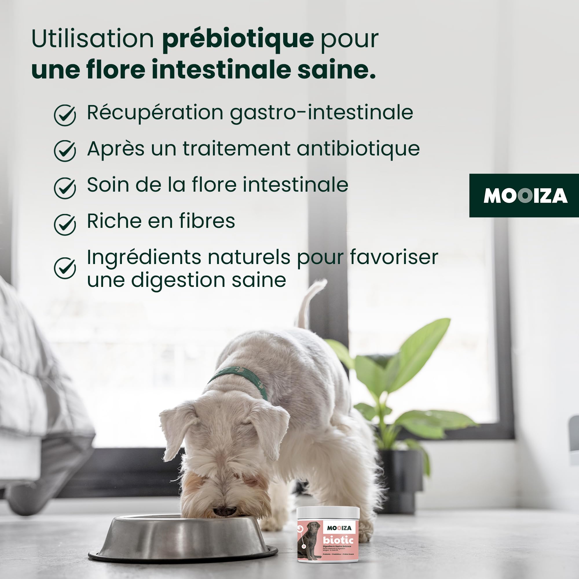 Prébiotiques naturels pour chiens et chats avec spiruline + psyllium et charbon végétal activé – Soutien flore intestinale – Supplément nutritionnel pour immunité digestive en format biscuits 300 g |