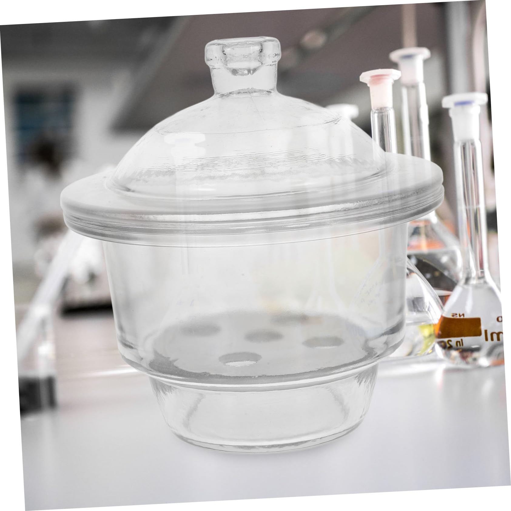 Alipis Exsikkator für Wissenschaftliche Experimente und Einfachem Tragekomfort Vakuum aus Glas Labor Trocknergefäß mit Hoher Transparenz und Lehre