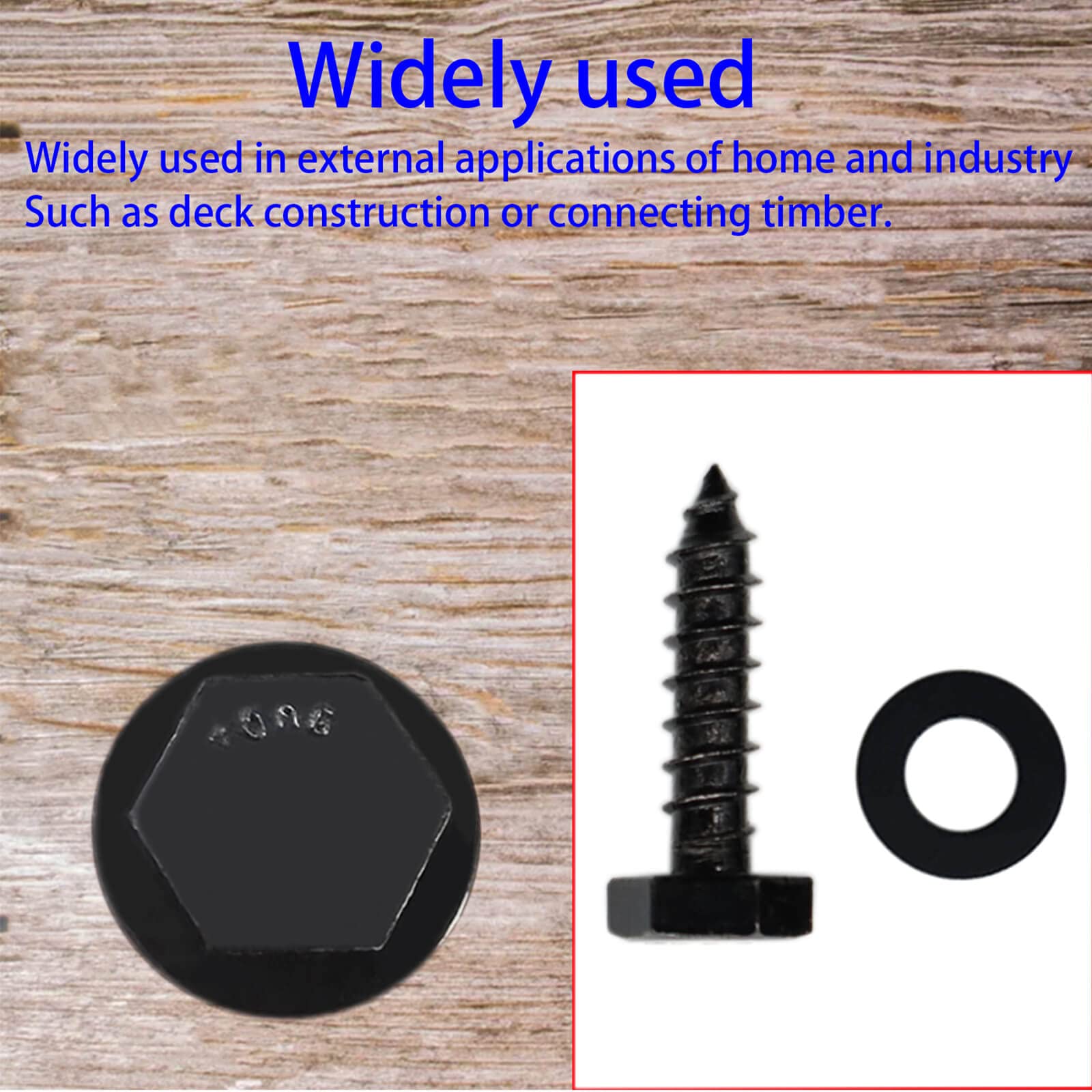 Stainless Steel Black Lag Bolts - 25 Pack -6
