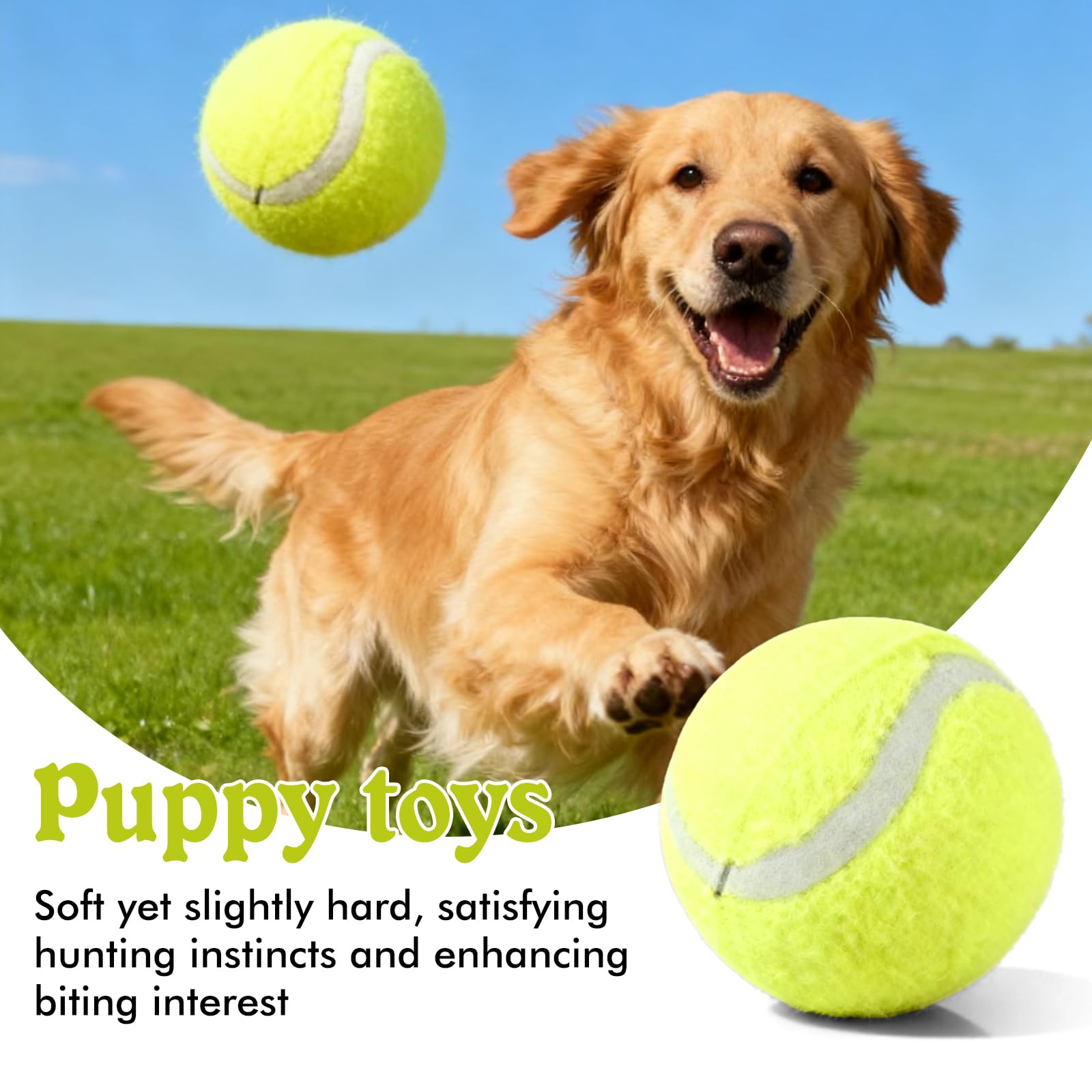 18 palline da tennis, per il tempo libero, palline da tennis, per cani da tennis, 5 cm, mini palline da tennis, palline da tennis per principianti, per allenamento, giochi, lezioni di tennis, macchine