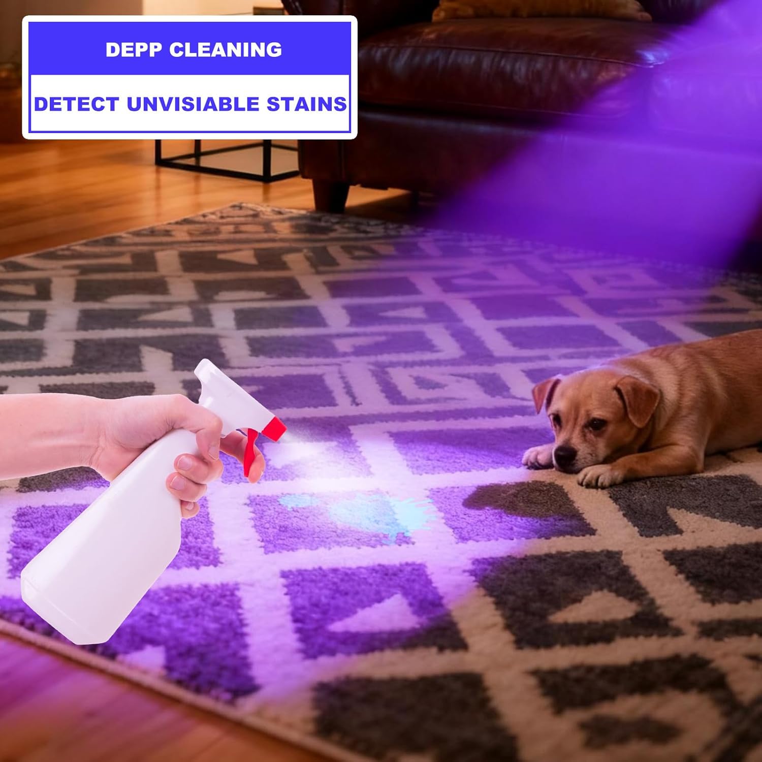COSOOS UV Flashlight 365m Black Light, Ultraviolet Flashlight with USB Rechargeable, Focusable Pet Urine Detector for AC Leak Detection, Scorpion, Curing Resin