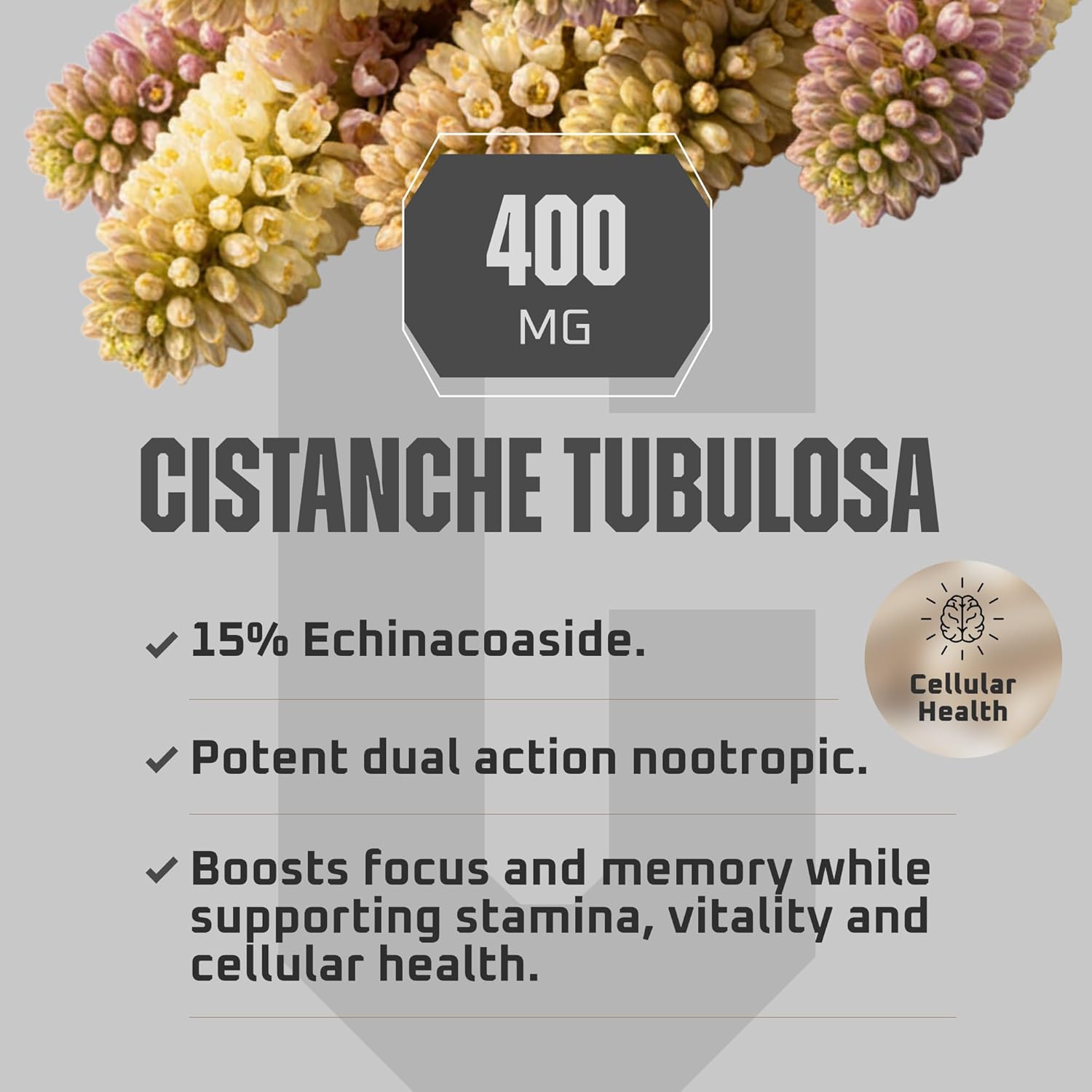 Earth Elixir Cistanche Supplement for Men & Women – Potent Cistanche Tubulosa Extract Capsules for Daily Vitality, Strength & Performance Support – Made in USA, 3rd Party Tested & 3 Month Supply - Image 4