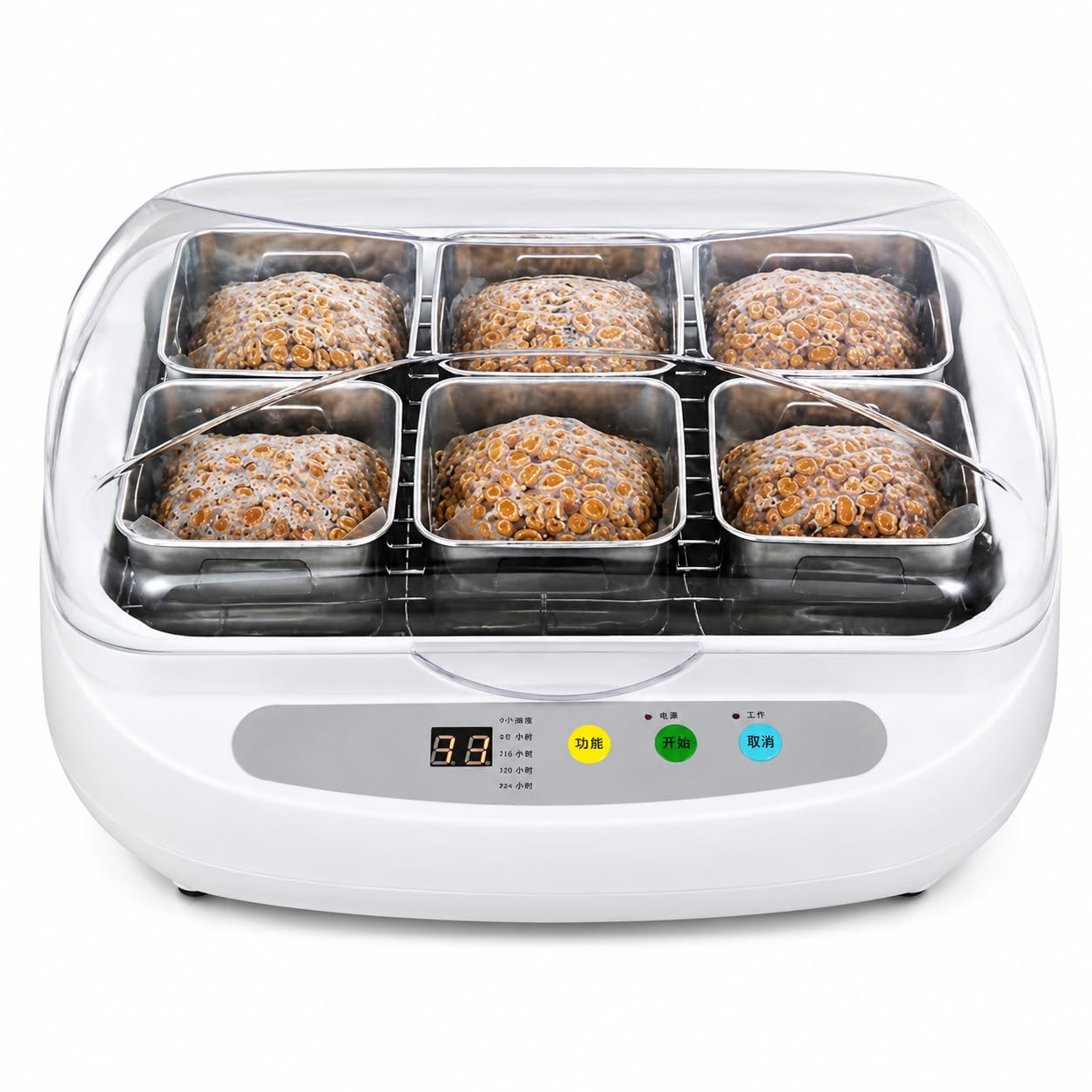 Fermentador eléctrico automático de natto de 3,5 L, de acero inoxidable con control inteligente para producción de natto, yogur y tempeh