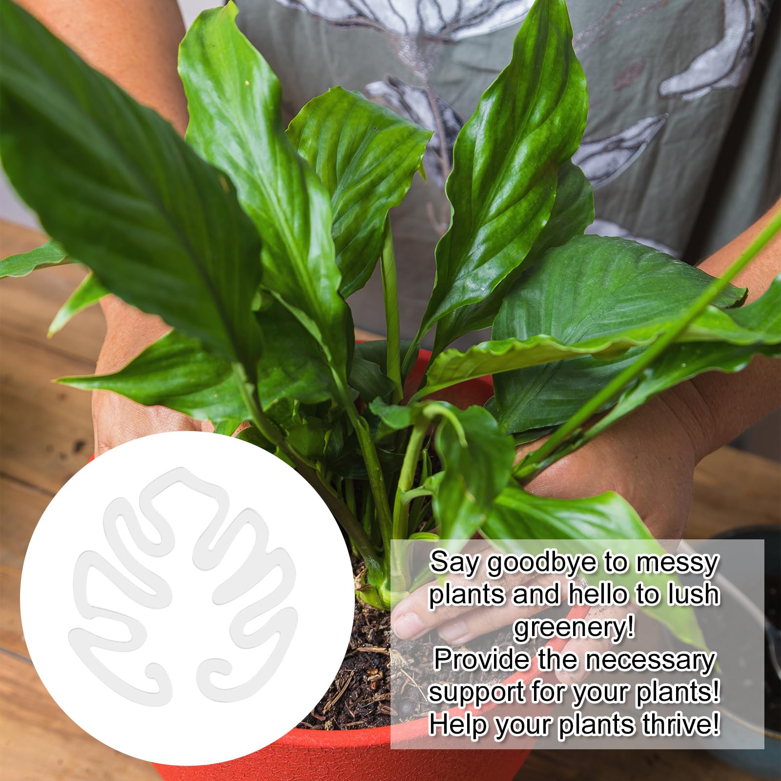 Amazon.com : PEUTIER Monstera Shaped Plant Stand, Acrylic Flower