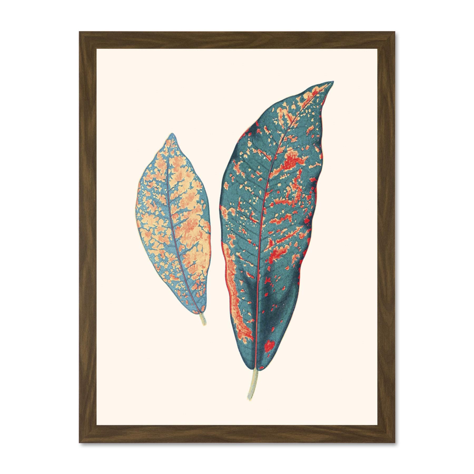 Wee Blue Coo Primary Coloured Exotic Leaves Large Brown Framed Art Print Wall Poster 18x24 inch