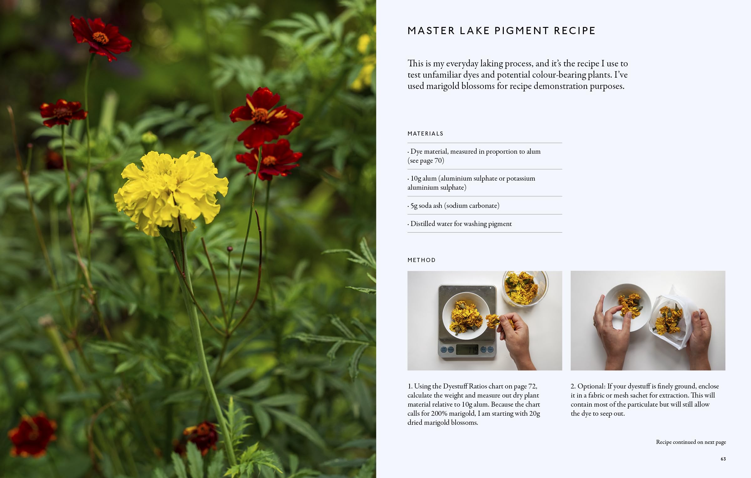 From Plant to Pigment: How to make your own vibrant inks, pastels and paints