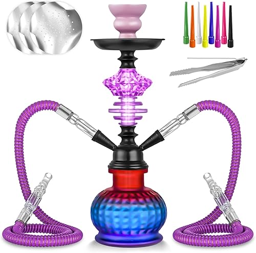 Juego de cachimba de 12 pulgadas con 2 mangueras Shisha Hookah Set con todo - Jarrón de vidrio moderno, 50 láminas de narguile y 50 puntas de