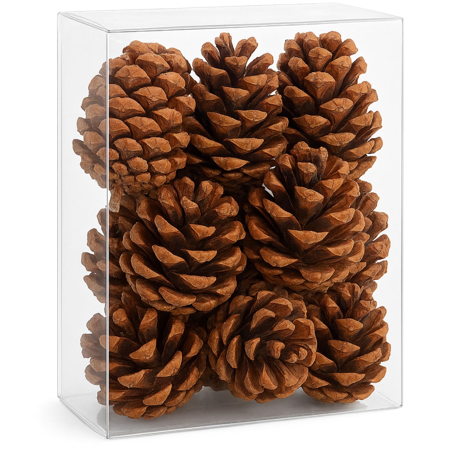 Smizzy Christmas Decorations Ornaments (Pack of 12) Natural Wooden Pine Cones| Brown Pinecone for Xmas Tree Decor | Cone Gift for New Year Festival | Party Decor | Wedding Hanging